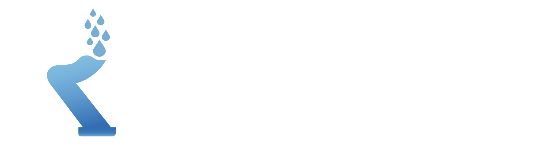 Riesenberger GmbH